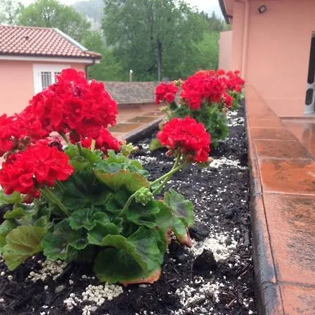Bed & Breakfast Millenovecentoventi 2*